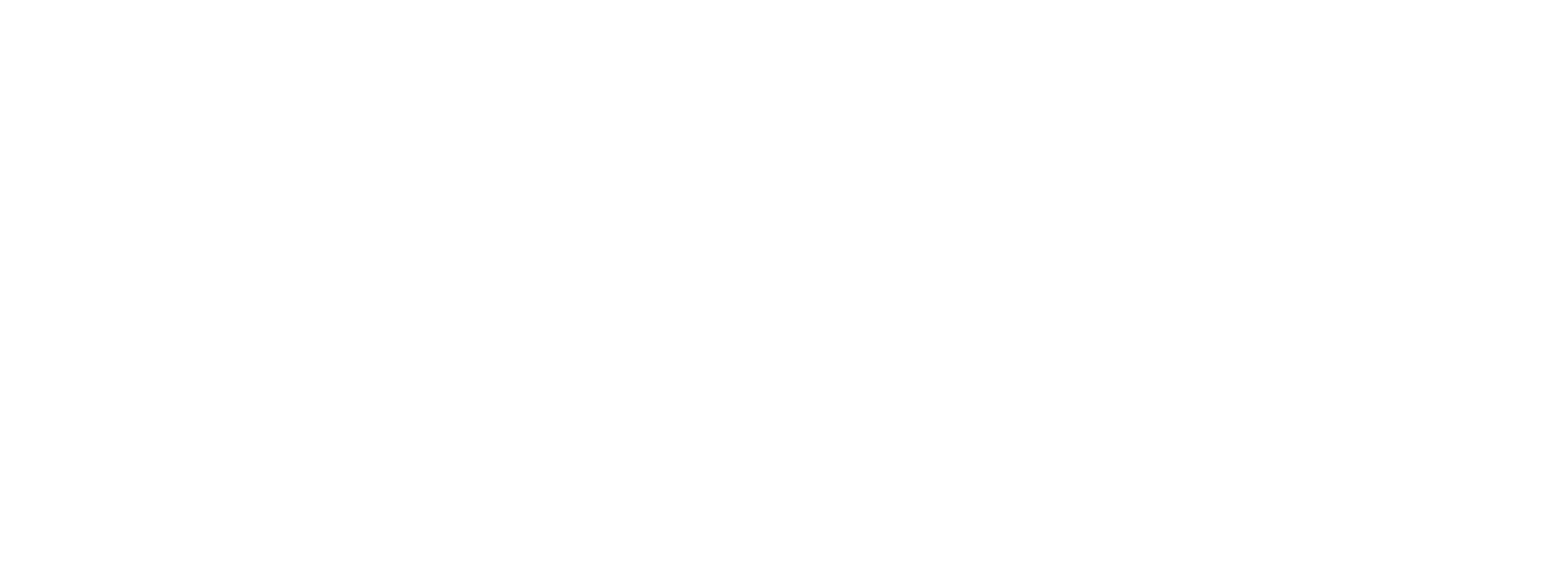 Inquiry Form Wonder Soiree